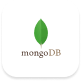 PHP development mongoDB Icon