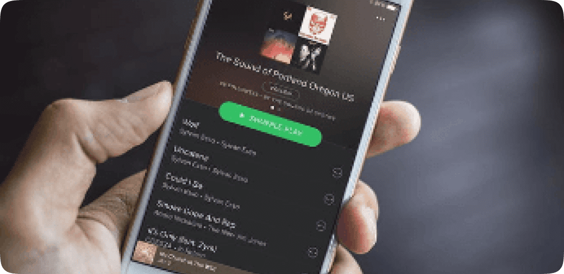 Integrating Spotify In IOS