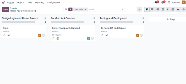 Odoo Project Management Overview