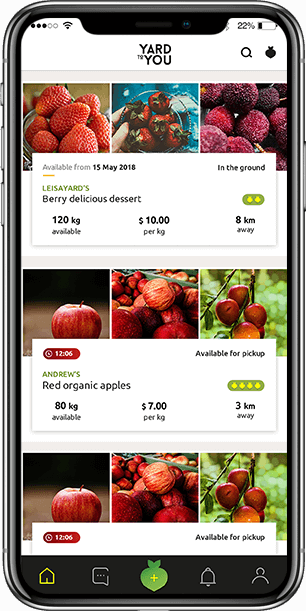 iOS Development Services for Startup